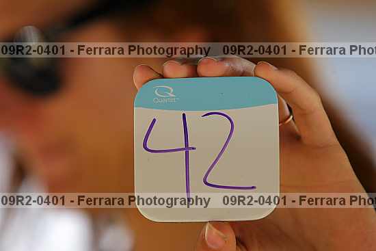 Proof 09r2-0401