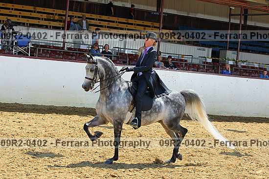 Proof 09r2-0402