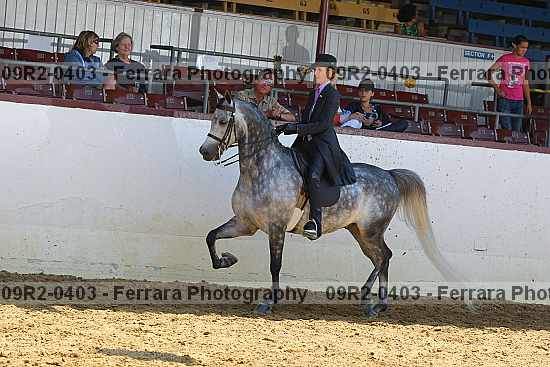 Proof 09r2-0403