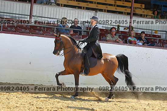 Proof 09r2-0405
