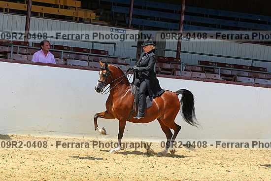 Proof 09r2-0408