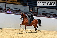 09r2-0408 proof