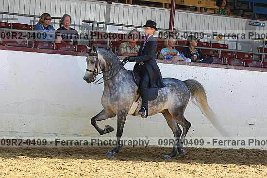Proof 09r2-0409