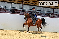 09r2-0412 proof
