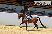 09r2-0423 proof