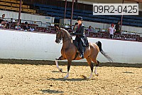 09r2-0425 proof