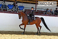 09r2-0428 proof