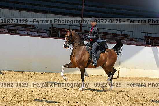 Proof 09r2-0429