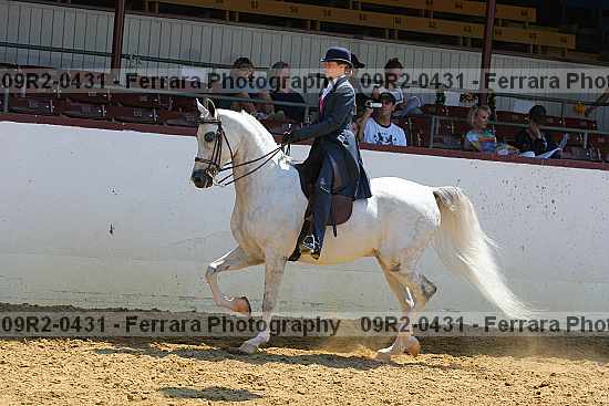 Proof 09r2-0431