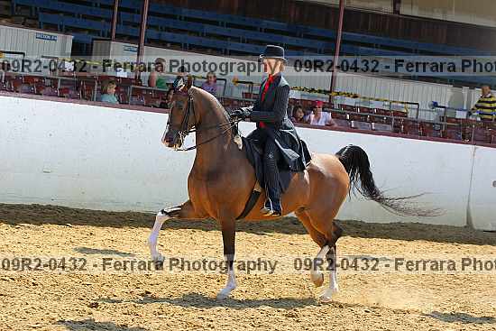 Proof 09r2-0432