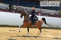 09r2-0432 proof