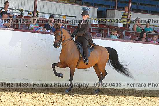 Proof 09r2-0433