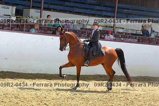 Proof 09r2-0434