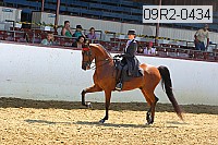 09r2-0434 proof