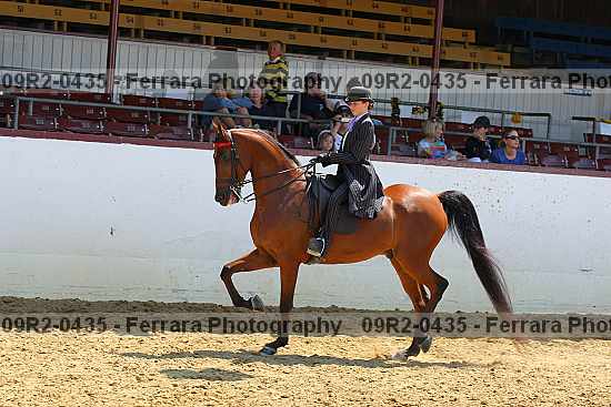 Proof 09r2-0435