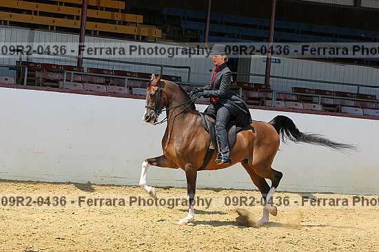 Proof 09r2-0436