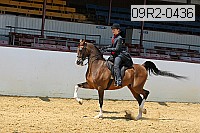 09r2-0436 proof