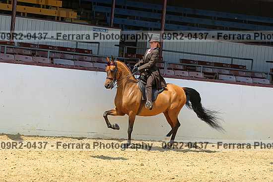 Proof 09r2-0437