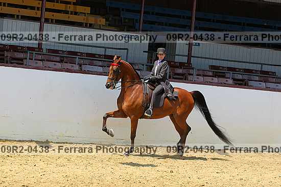 Proof 09r2-0438