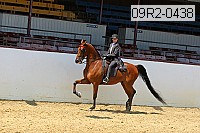 09r2-0438 proof