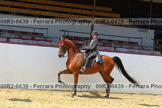 Proof 09r2-0439