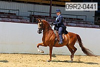 09r2-0441 proof