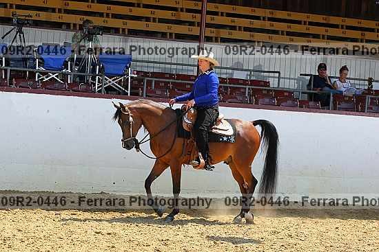 Proof 09r2-0446