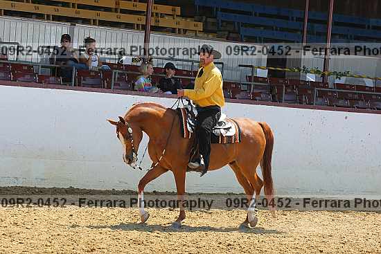 Proof 09r2-0452