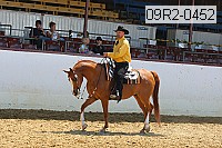 09r2-0452 proof