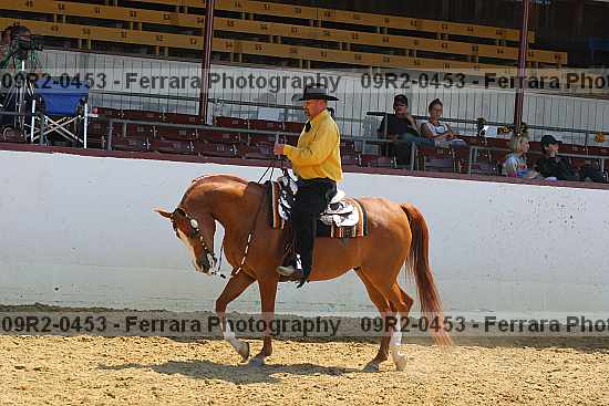 Proof 09r2-0453