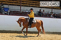 09r2-0453 proof