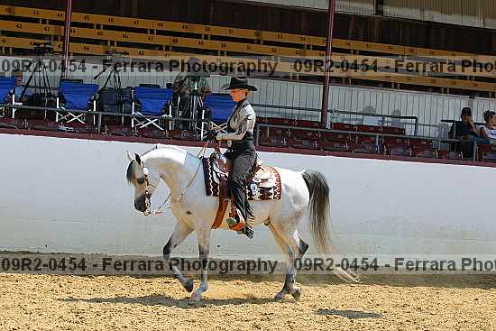Proof 09r2-0454