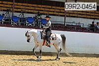09r2-0454 proof