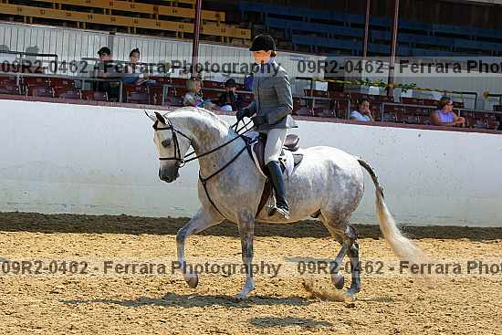 Proof 09r2-0462