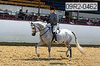 09r2-0462 proof