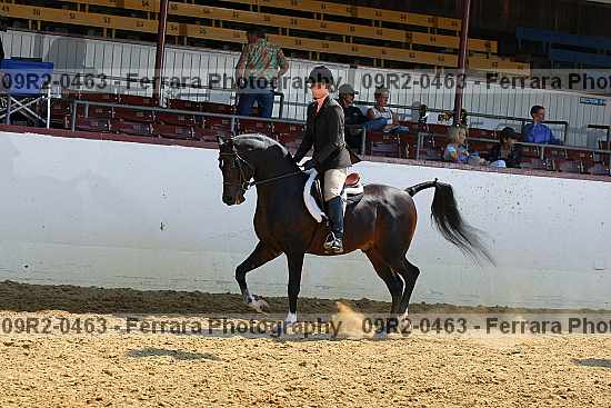 Proof 09r2-0463