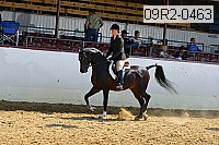 09r2-0463 proof
