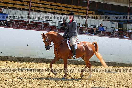 Proof 09r2-0466
