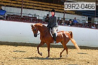 09r2-0466 proof
