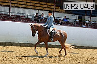 09r2-0469 proof