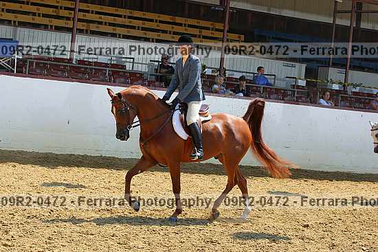 Proof 09r2-0472