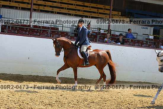Proof 09r2-0473