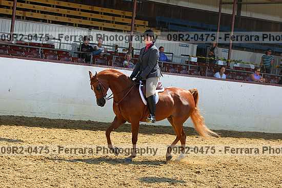 Proof 09r2-0475