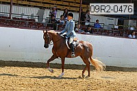 09r2-0476 proof