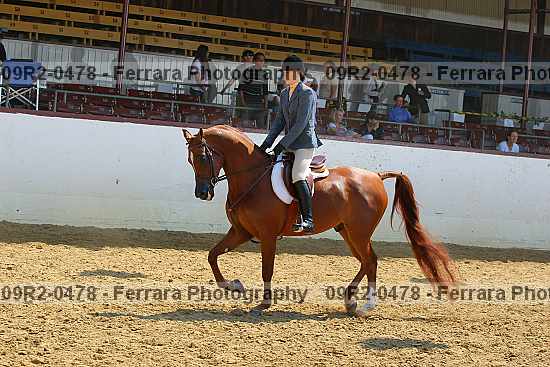 Proof 09r2-0478