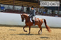 09r2-0478 proof
