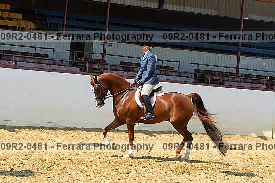 Proof 09r2-0481