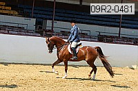 09r2-0481 proof