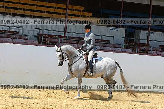 Proof 09r2-0482
