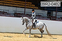 09r2-0482 proof